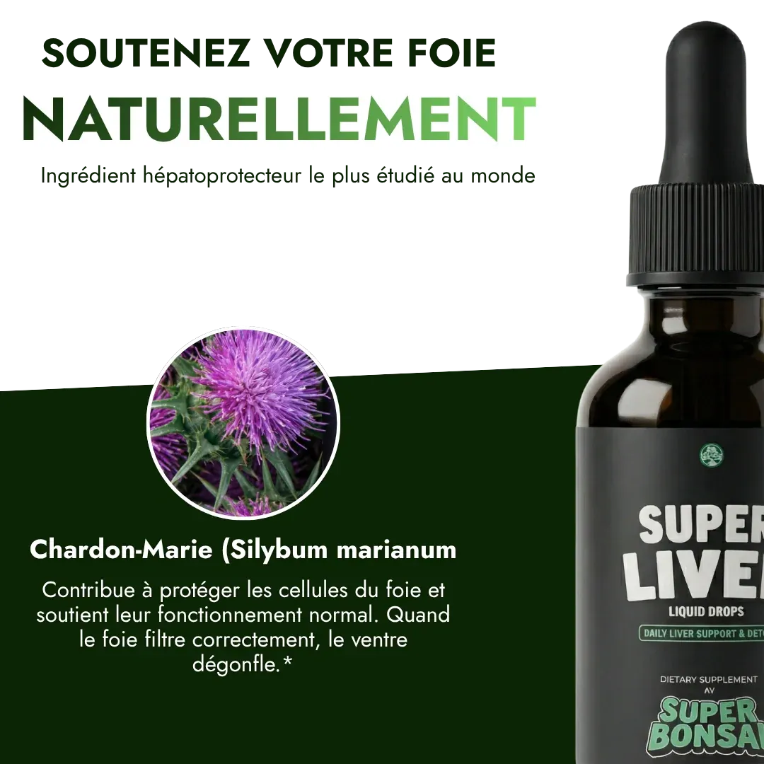 Super Liver — Retrouvez un ventre plat durablement
