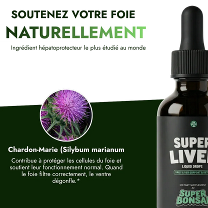 Super Liver — Retrouvez un ventre plat durablement